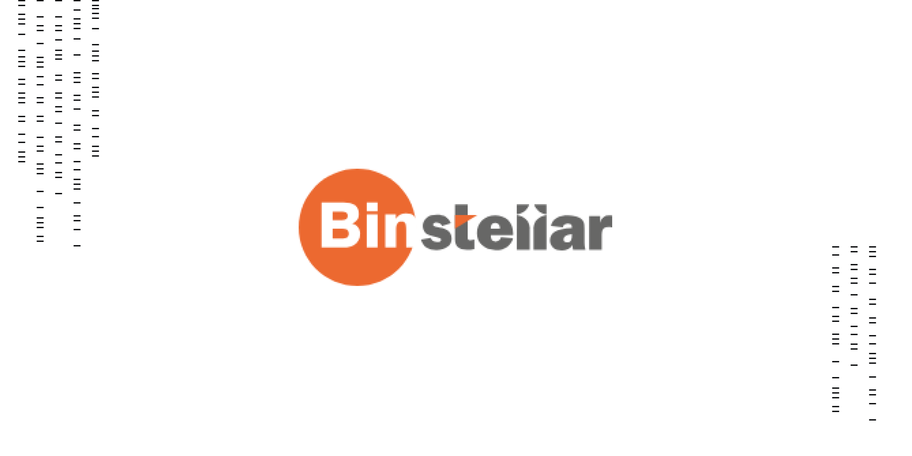 Logo Of Binstellar Technologies